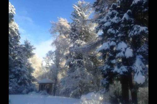 สวน, The Beeches Studio, Highlands of Scotland in นิวตันมอร์