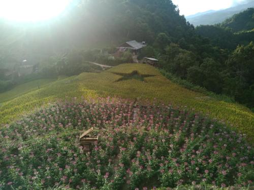 Mu Cang Chai Big view homestay