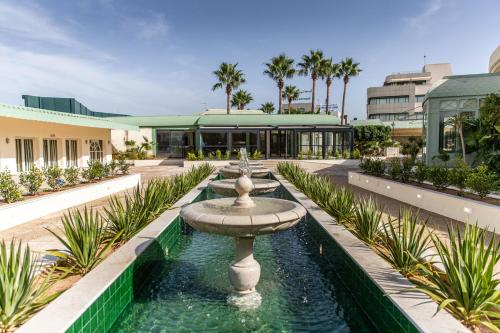 Garden, Acropole Tunis Hotel in Tunis