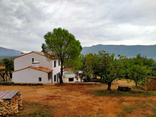 Viesnīcas āriene, Más del Sandungo (Mas del Sandungo) in Els Ivarsos
