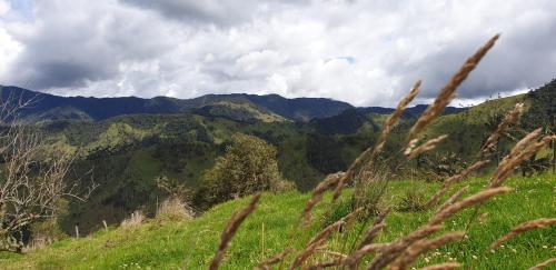 Posada Martha Tolima