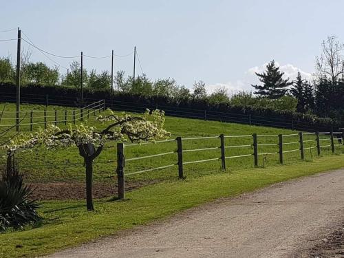 Azienda Agricola Cascina Monticone