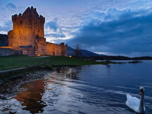 The Ross, Killarney (zdjęcie 6)