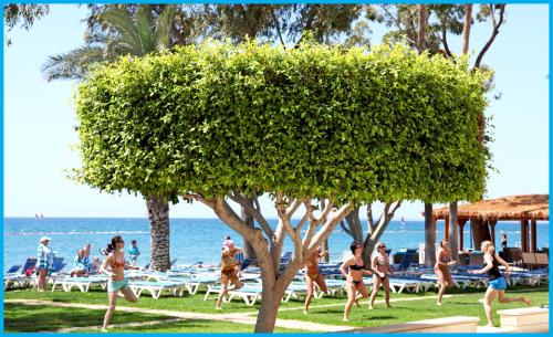 Poseidonia Beach Hotel - image 7