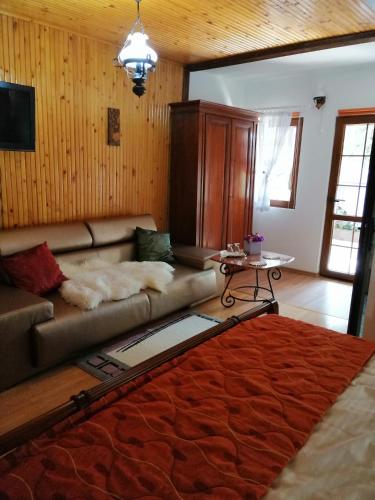 Casa Serban in Durau