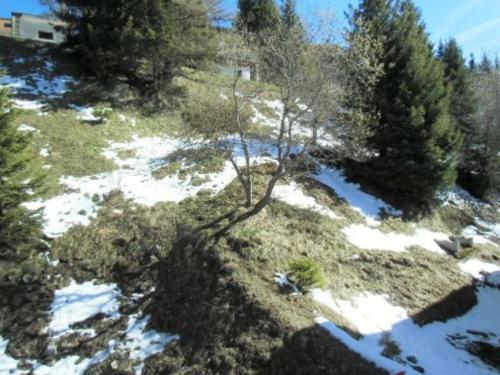 Studio Chamrousse, 1 pièce, 3 personnes - FR-1-340-31