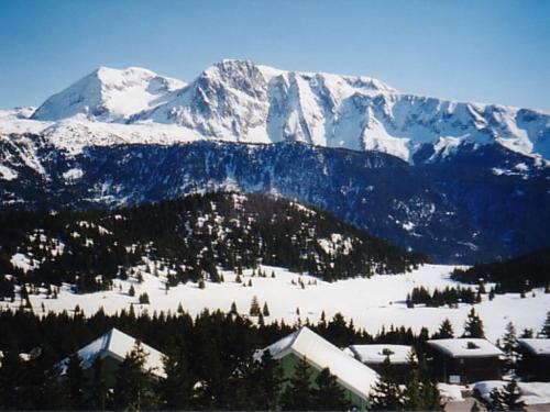 Appartement Chamrousse 1 pièce 3 personnes - FR-1-340-155 - image 10