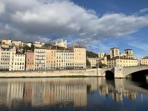 Nest in heart of Lyon - Location saisonnière - Lyon