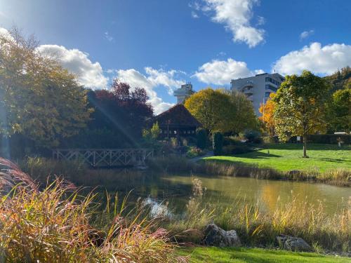 Dorint Parkhotel Bad Zurzach