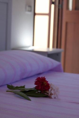 Agriturismo Tenuta La Siesta - image 12