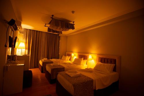 SRF Hotel - image 3
