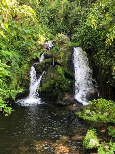 Mbunga Community Tourism Campsite