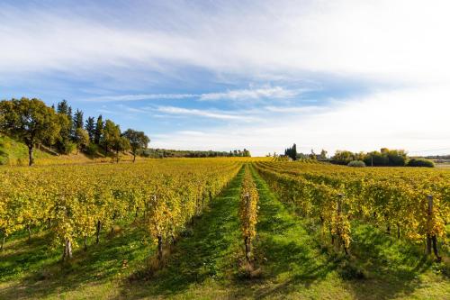 Agriturismo Ai Prati 2