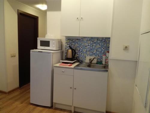 Apartment Greece on Shkolnaya - image 4