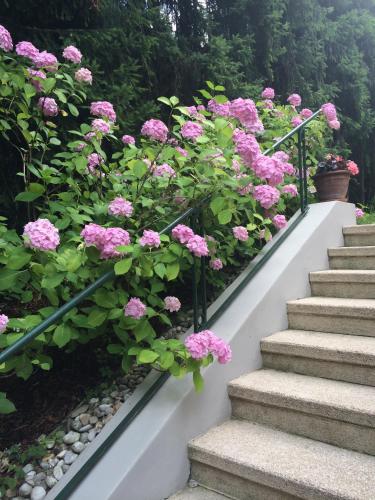 Exquisites Gartenapartment in eleganter Jugendstilvilla - image 7