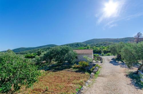 Apartments Petar - image 7