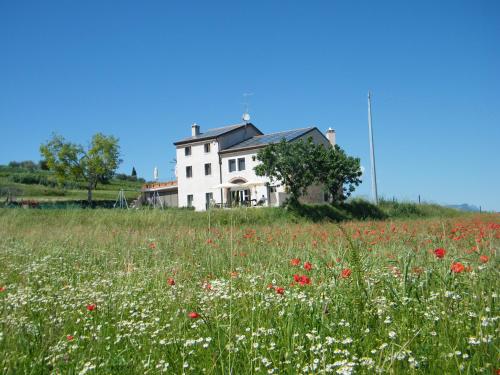 Bed & Breakfast Le Coste, Lazise