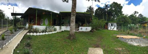 . Soursop Hostel