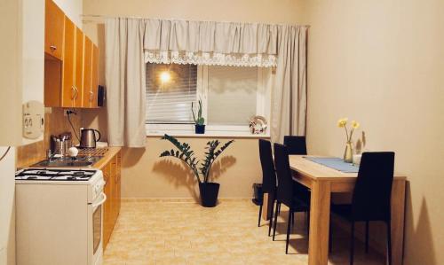 Konyha, Cozy apartment at river Labe near center and train in usti nad Labem