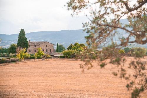 San Carlo a La Molinella