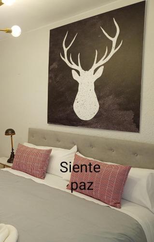  ORIGEN PELAIRE , excelente limpieza y descanso in Biescas