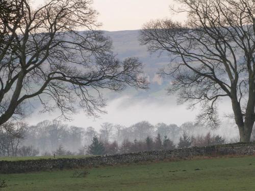 Coverdale Cottage Leyburn - image 12