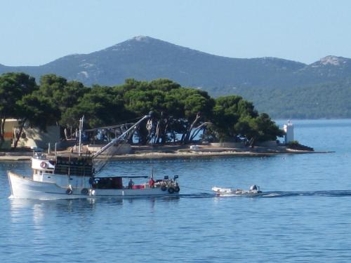 Guesthouse Lisica - image 4