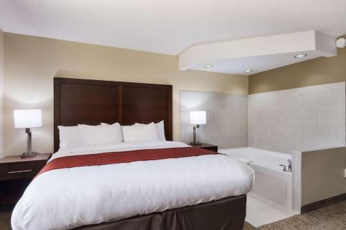 Comfort Inn Kings Mountain - image 11