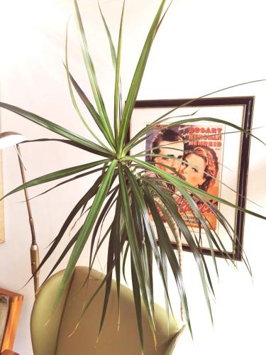 Victoriana Apartment - Private Balcony