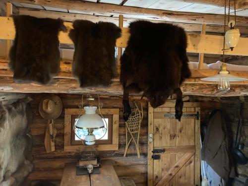 Chez Buddy - cabane de trappeur