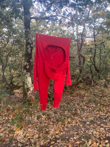 Chez Buddy - cabane de trappeur