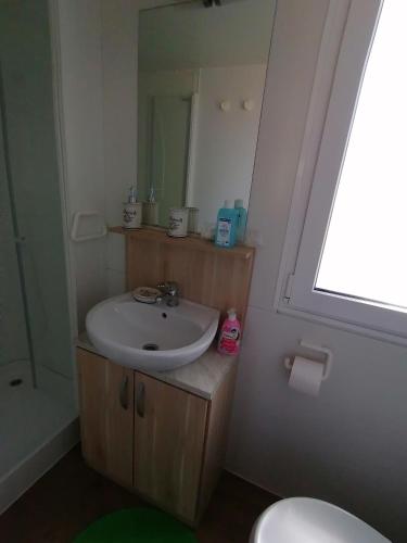 BOR mobile home
