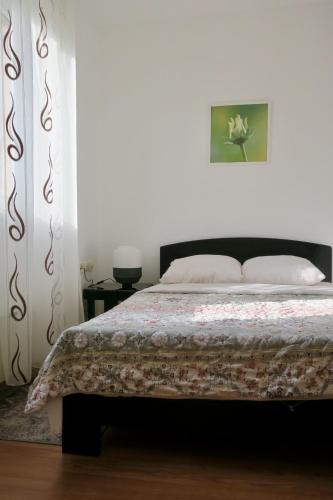 Casa Blanca - main image