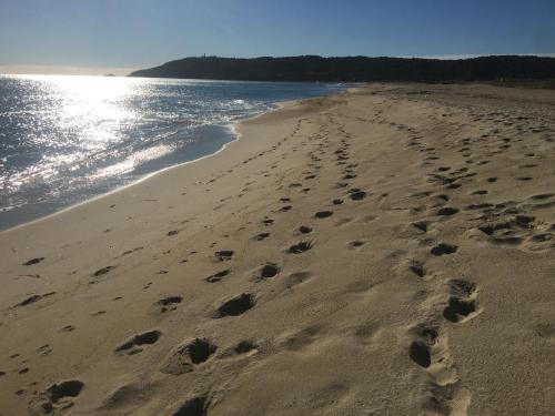 Clos des Vignes Pampelonne Vineyard - image 12