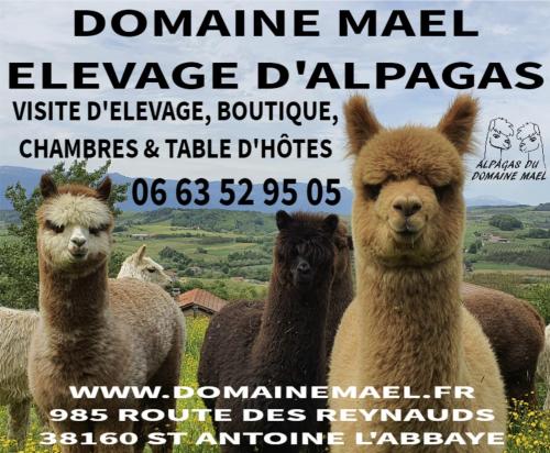 . ALPAGAS DU DOMAINE MAEL