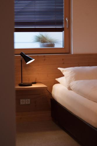 Piltriquitron Lodging