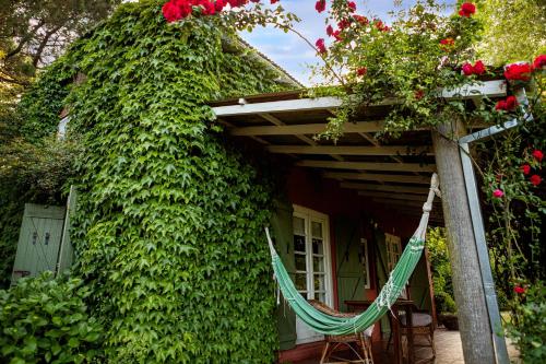 Cabanas La Escondida in 탄딜