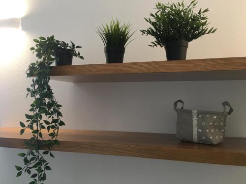 Appartamento di Gabriela, Florencja (zdjęcie 8)