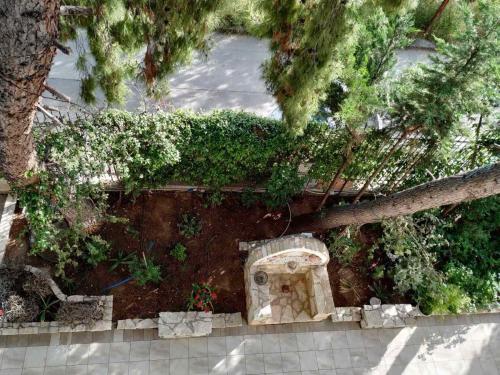 Vacations in Patra Studios, Patra (photo 7)