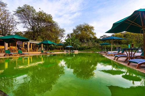 สระว่ายน้ำ, เลค โบโกเรีย สปา รีสอร์ต (Lake Bogoria Spa Resort) in อุทยานแห่งชาติเลคโบโกเรีย