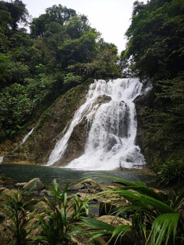 Reserva Natural Selva Mojada