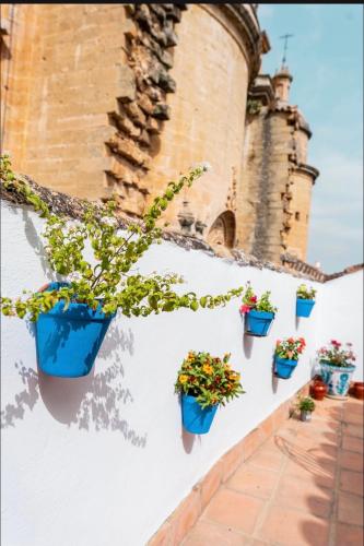 La Colegiata De Ronda, Ronda (zdjęcie 11)