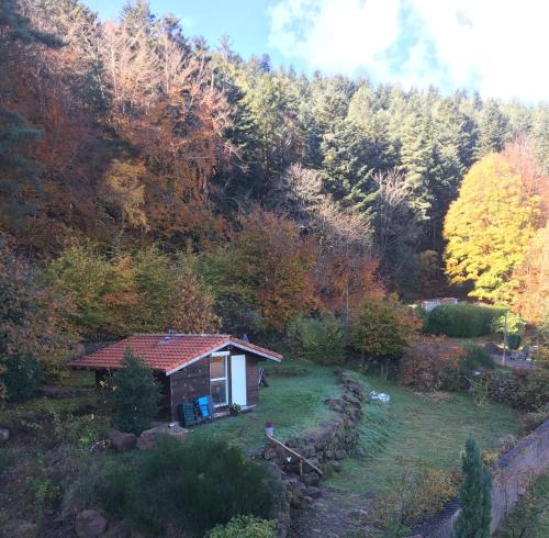 L’oréade -Wangenbourg-Engenthal cottage Reinhardsmunster
