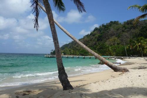 Strand, Hotel Puerta Azúl Capurganá (Hotel Puerta Azul Capurgana) in Capurgana