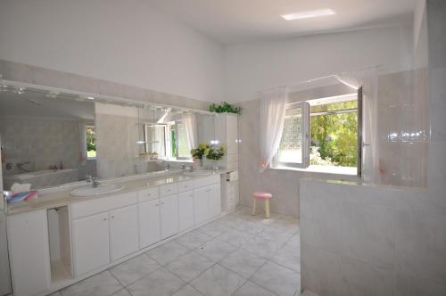Superior Villa image 5