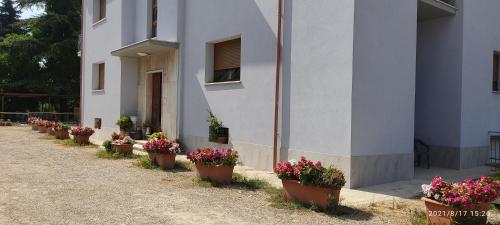 Villa del Parco - image 11