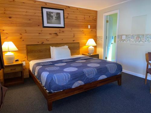A Holiday Motel - Maggie Valley - image 29