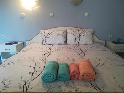 Junior Suite with Terrace