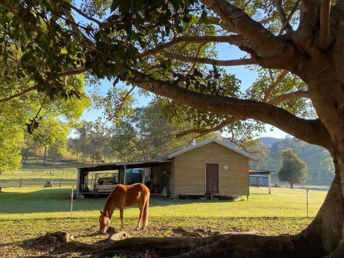 Stay at the Barn... Immerse yourself in nature. Sunshine Coast