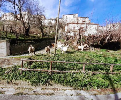 LE ORIGINI casa in borgo tipico lucano